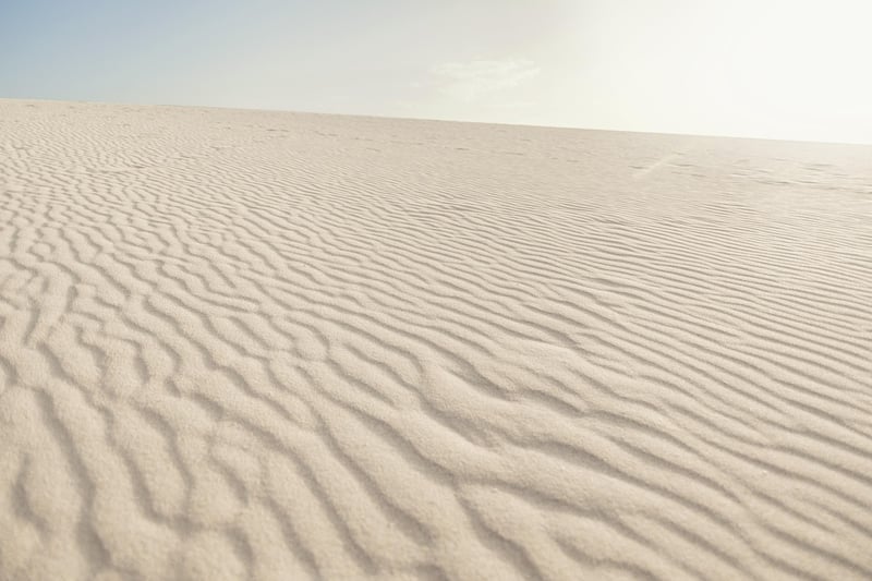 Eco-Tourism Image 3