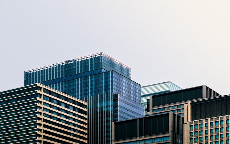 Social Impact Consulting Image